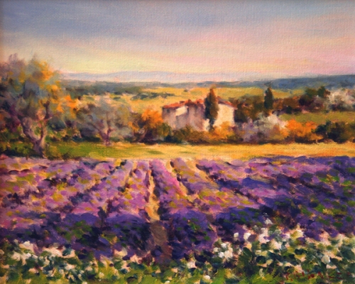 Lavender Field, Vence, Provence ~ Paolo Bigazzi